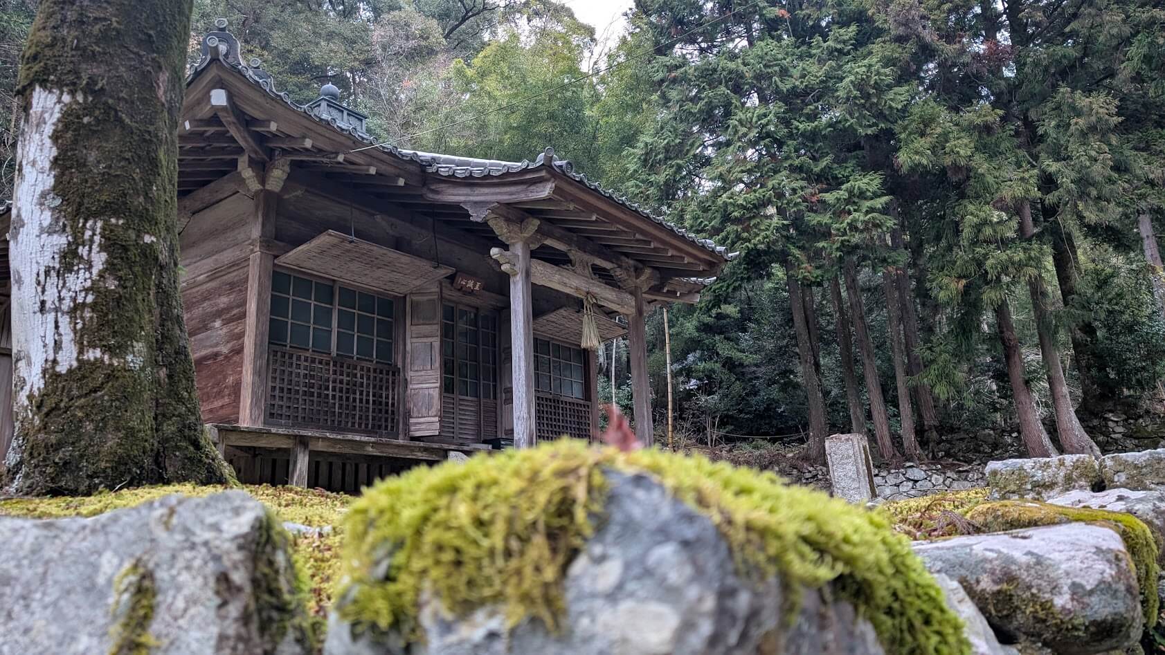 滋賀 大津 坂本 安楽律院 本堂 石苔