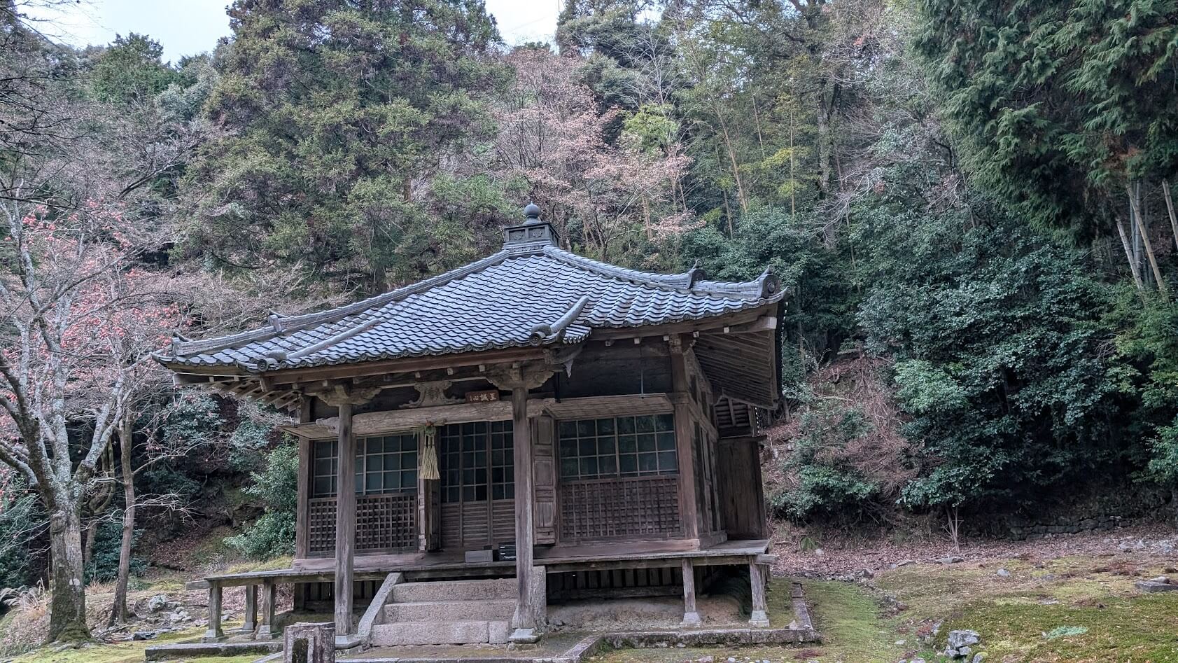 滋賀 大津 安楽律院 本堂 全体