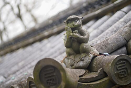 西教寺　身代わり猿画像