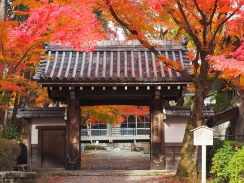 西教寺　山門と紅葉画像