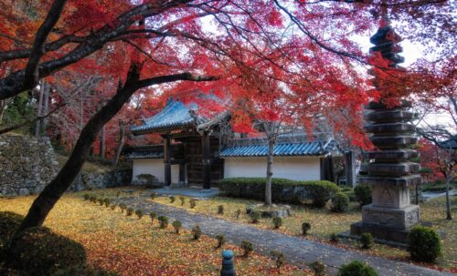 西教寺　紅葉と本殿画像