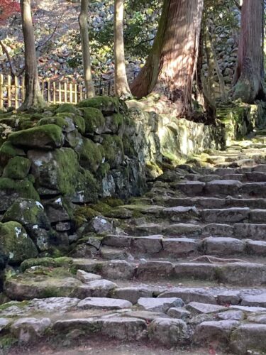 西明寺の参道の苔階段の画像