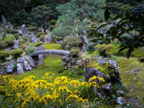 滋賀青岸寺　春の庭園画像