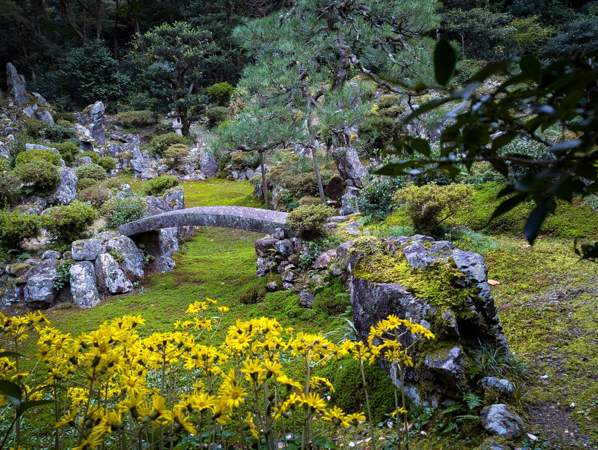 滋賀青岸寺　春の庭園画像