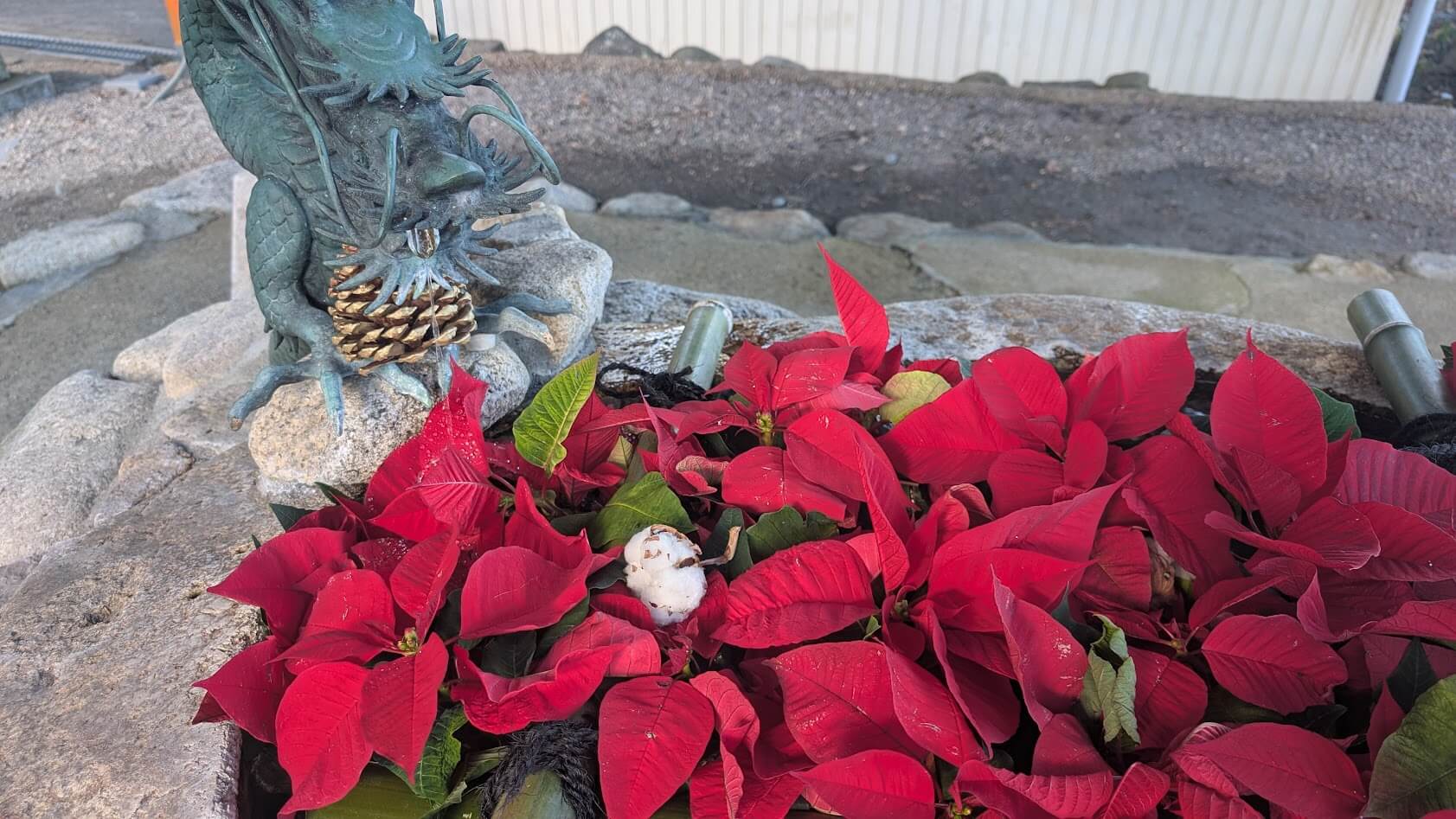 滋賀 湖南 立志神社 手水舎