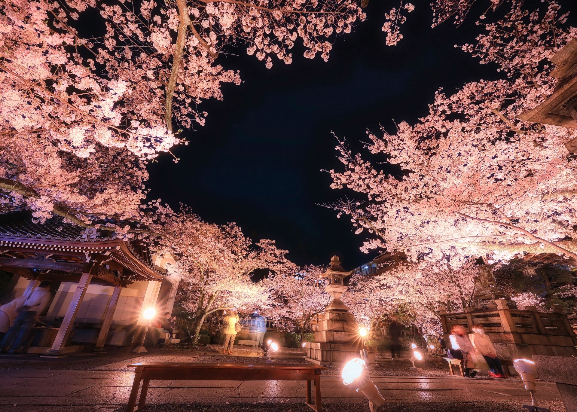 滋賀 天孫神社 夜桜 ハート形画像