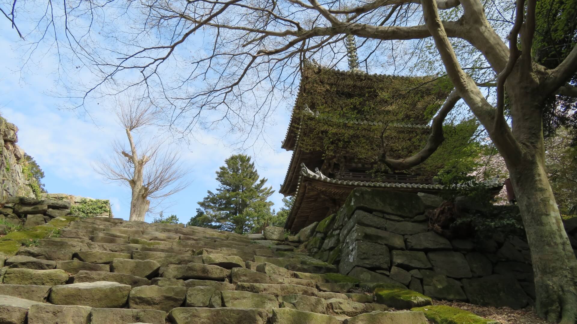 滋賀 総見寺　三重塔画像