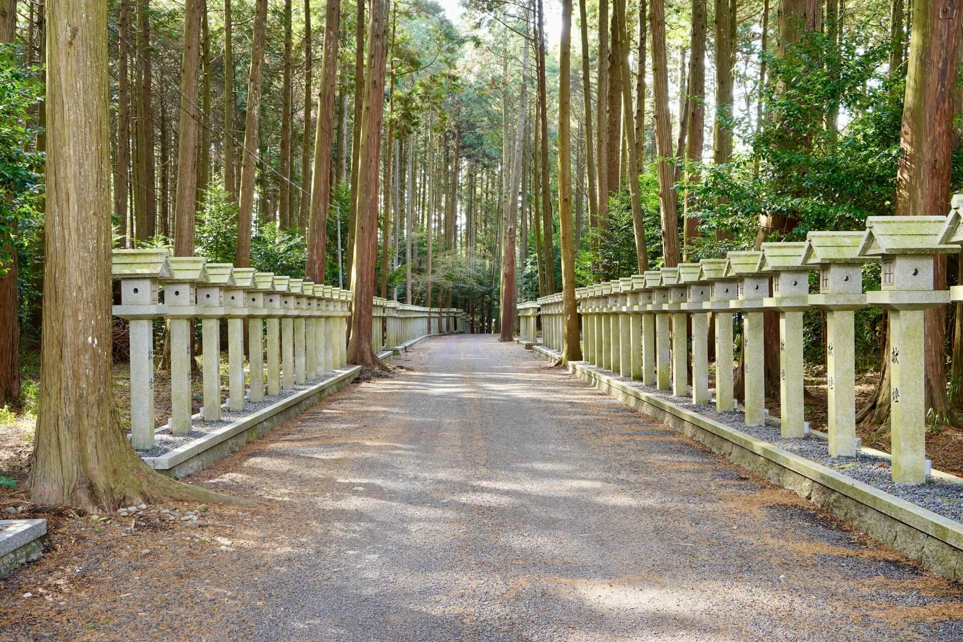 瀧樹神社　参道画像