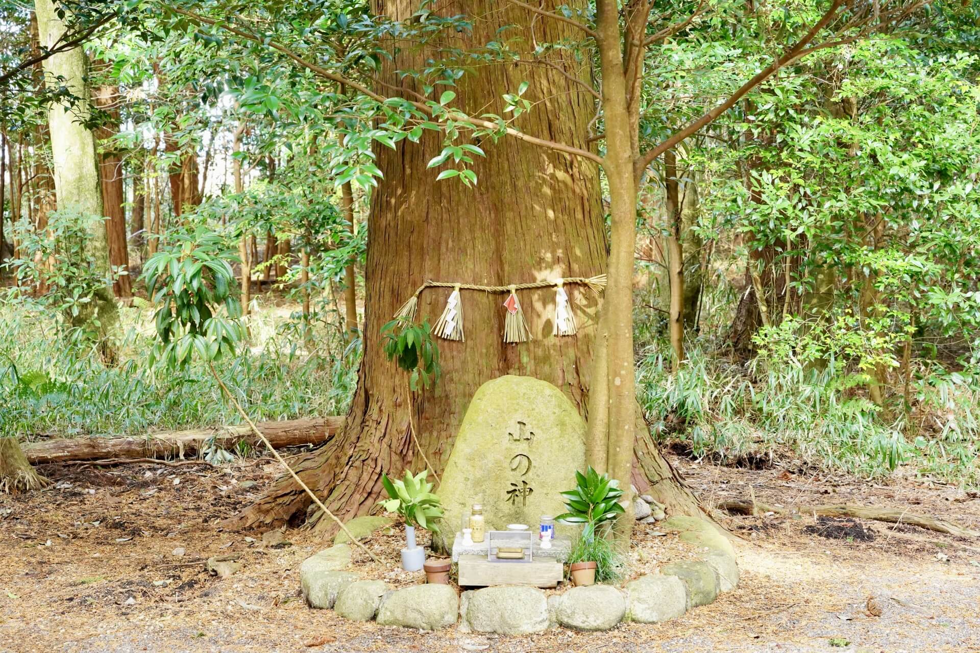 瀧樹神社　山の神碑画像