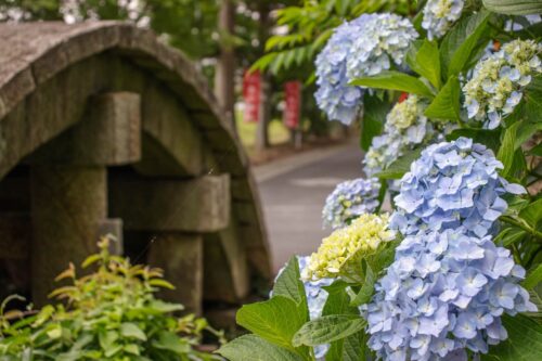 矢川神社　境内内橋画像