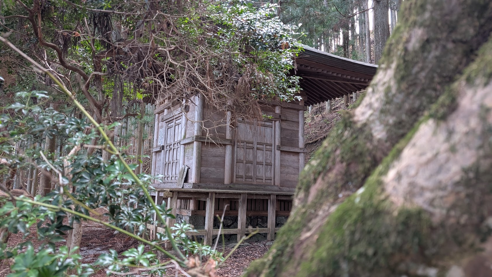 奈良 吉野 金峯神社 義経隠れ塔4