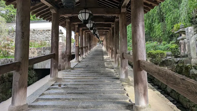 奈良県長谷寺の登廊（のぼりろう）に並ぶ紫陽花鑑賞の参拝客の様子。石段の奥行きと提灯が印象的。
