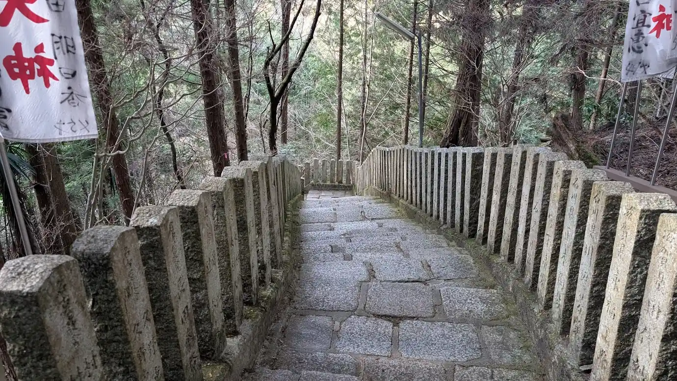 脳天大神へ下る石段の途中の風景。両脇に奉納された石柱(玉垣)がずらりと並び、先の見えない深い谷底へと階段がうねりながら続いている。
