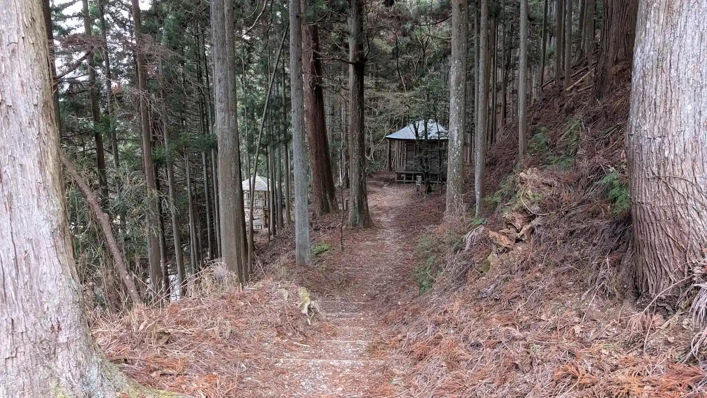 杉林の中を抜け、遠くに義経隠塔の屋根が見える細い山道の風景