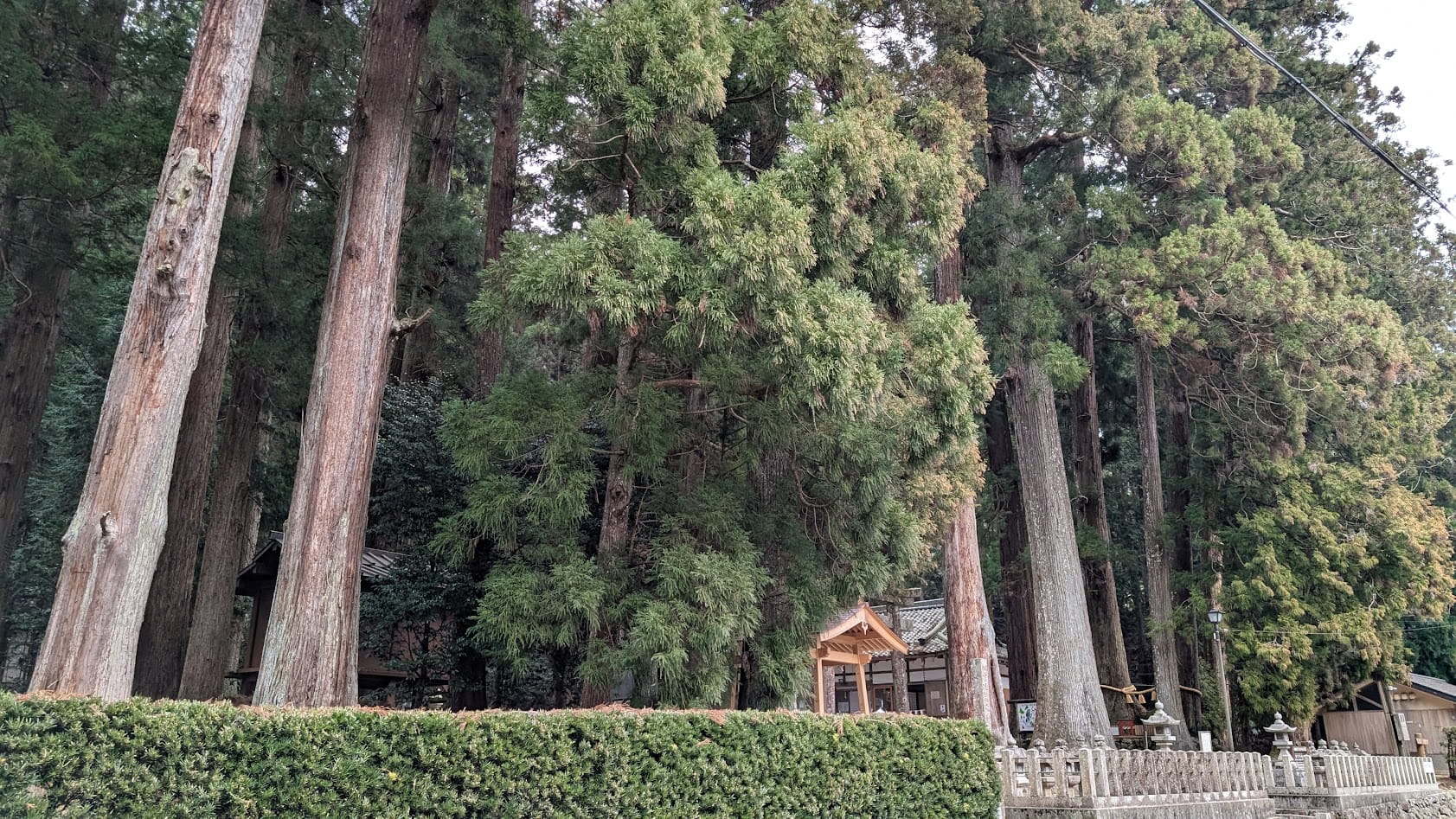 奈良 室生 龍穴神社 境内内全体