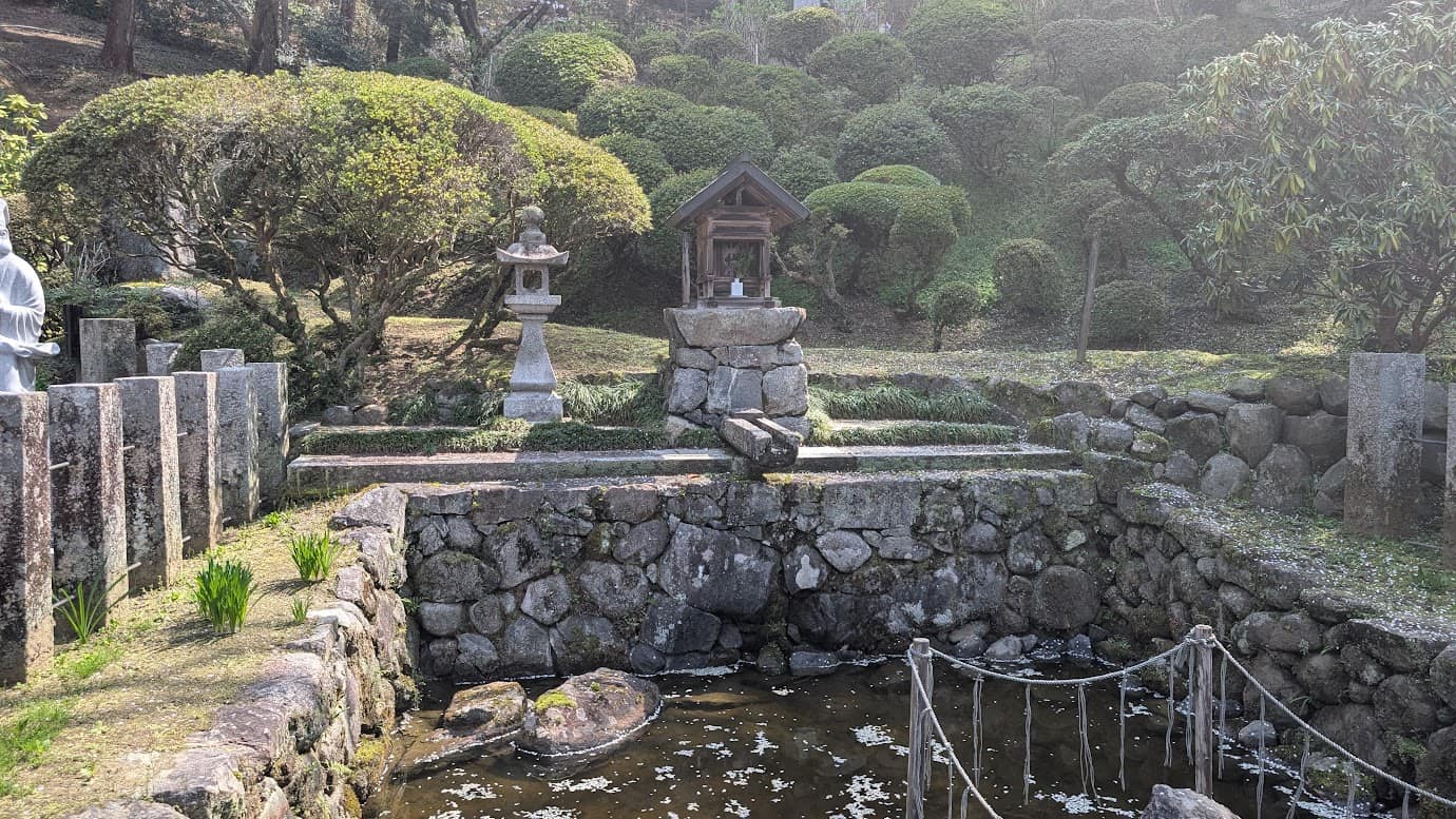 奈良県明日香村、岡寺の龍蓋池。手前の池には注連縄が張られた蓋石があり、水面には桜の花びらが散っている。池の奥の石垣の上には、悪龍を封じたとされる場所を見守る木造の小さなお社と石灯籠が静かに佇んでいる(2026年3月30日撮影)。