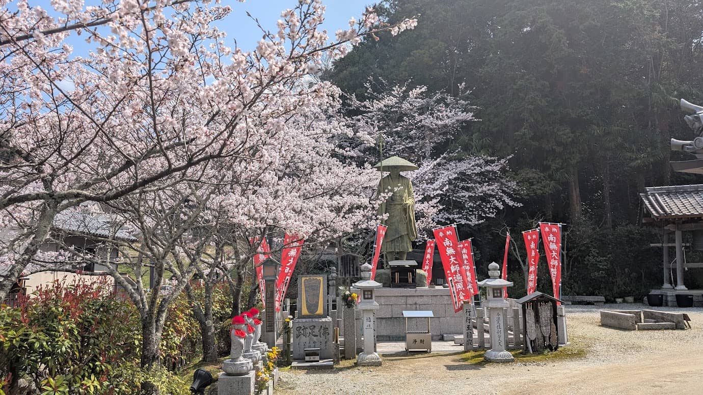 奈良県明日香村、岡本寺の境内。中央に笠を被った弘法大師(空海)の修行大師像が立ち、背後には満開の桜が広がっている。「南無大師遍照金剛」と記された赤い幟が並び、手前には仏足跡や石灯笼が設置されている春の風景(2026年3月30日撮影)。