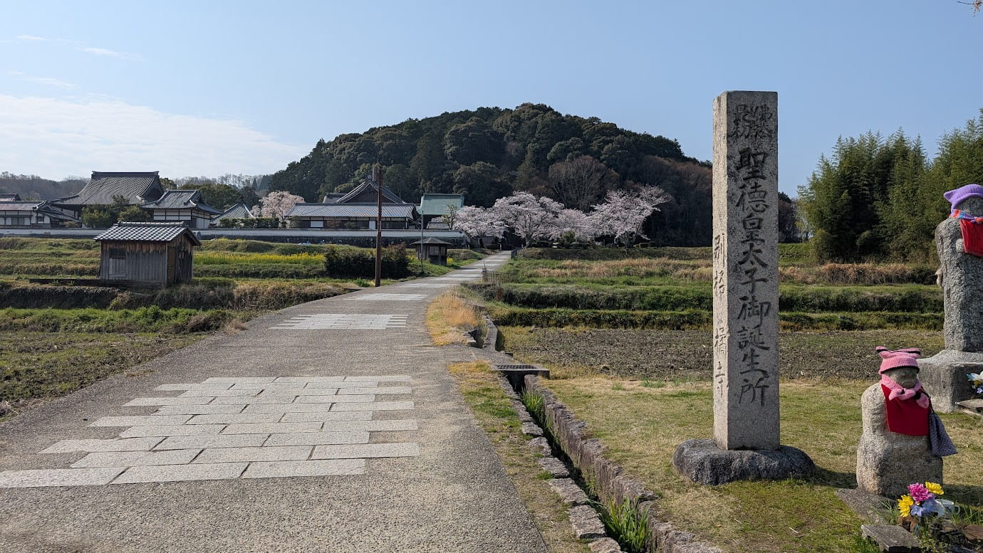 奈良県明日香村、橘寺へと続く参道。右手前には「聖徳皇太子御誕生所」と刻まれた大きな石柱（石碑）が立ち、その傍らにはピンクの帽子を被った小さなお地蔵様が置かれている。背景にはのどかな田園と、桜が咲く橘寺の伽藍が広がる風景（2026年3月30日撮影）。