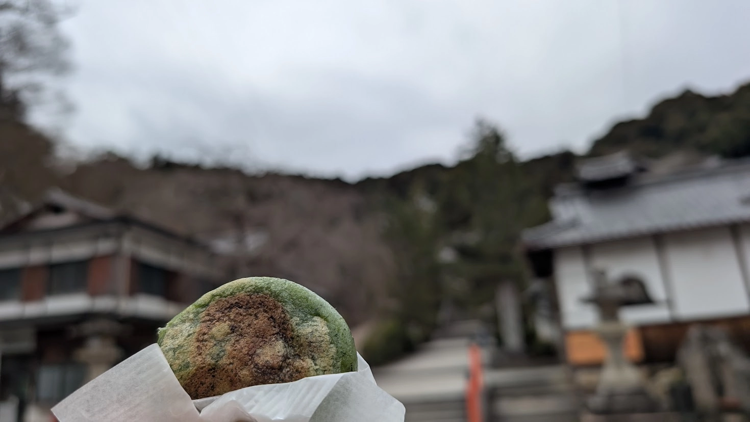 長谷寺の門前で購入した、表面に美味しそうな焦げ目がついた緑色の焼き草餅。手に持った状態で、背景には長谷寺へと続く参道がボケて写っている。