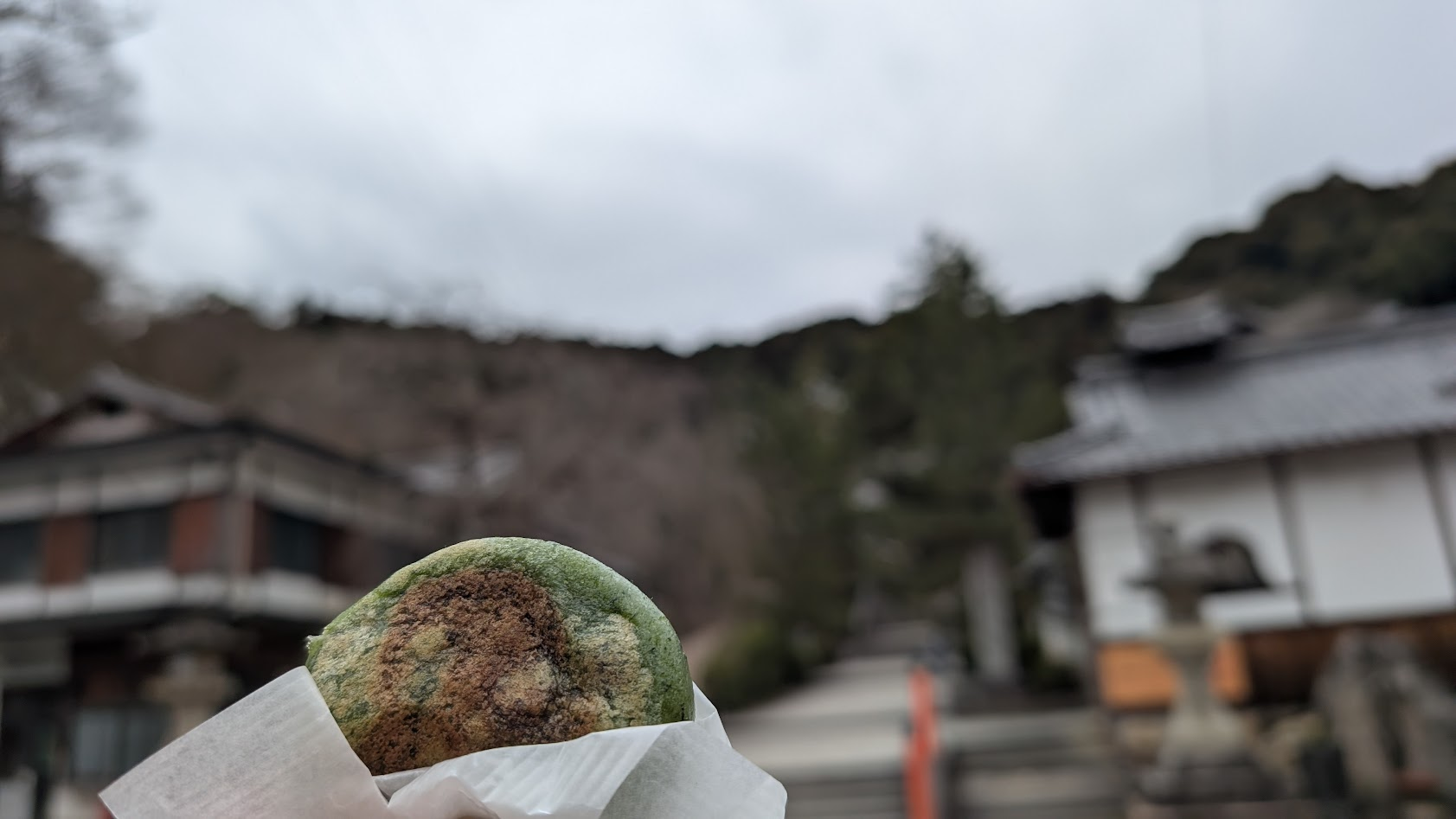 奈良 長谷寺 草餅
