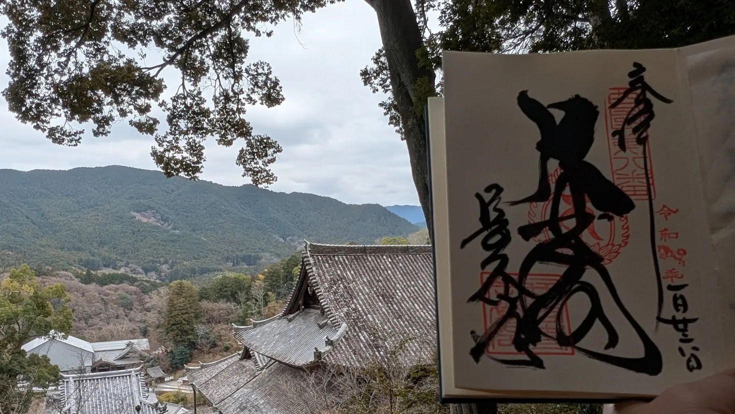 長谷寺の高台から、拝受した御朱印帳を掲げた写真。背景には本堂の大きな瓦屋根と冬の初瀬山、そして静かな寺院の境内が広がっている。