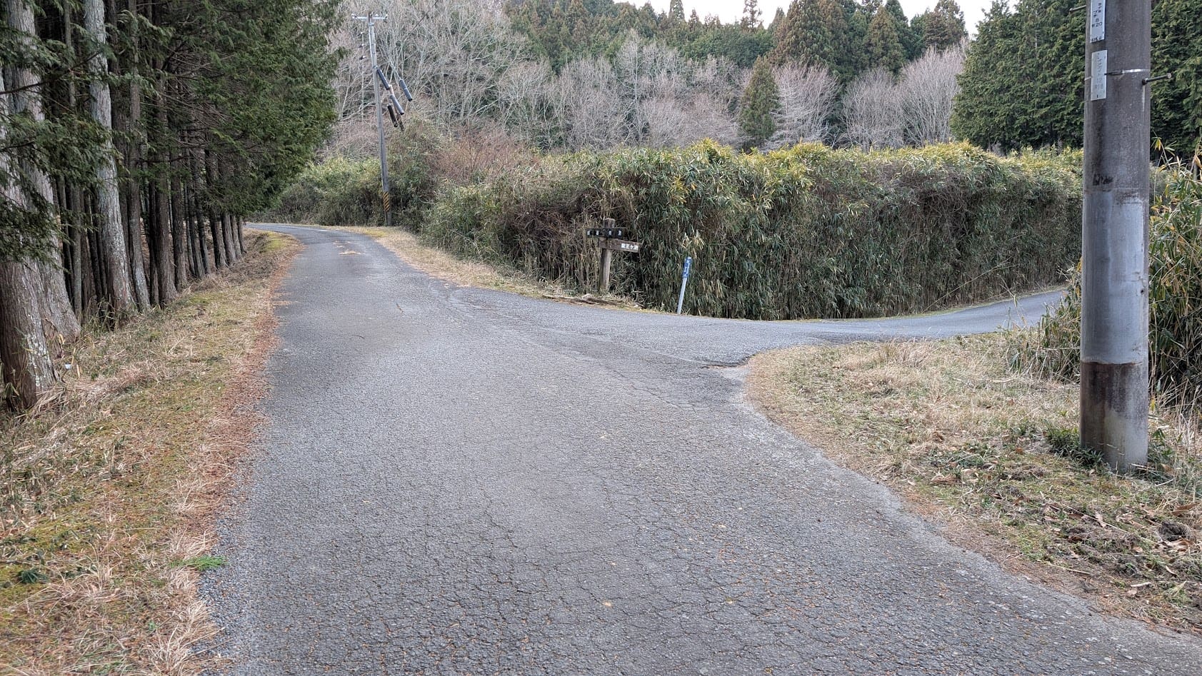 奈良 室生 龍王ヶ渕 最終分岐