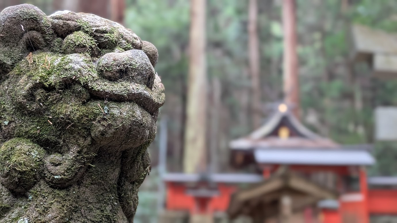 奈良県宇陀市の室生龍穴神社。手前に苔むした狛犬が鎮座し、背景には荘厳な檜皮葺の屋根を持つ拝殿（灌頂堂）がボカして写っている（2026年1月15日撮影）。