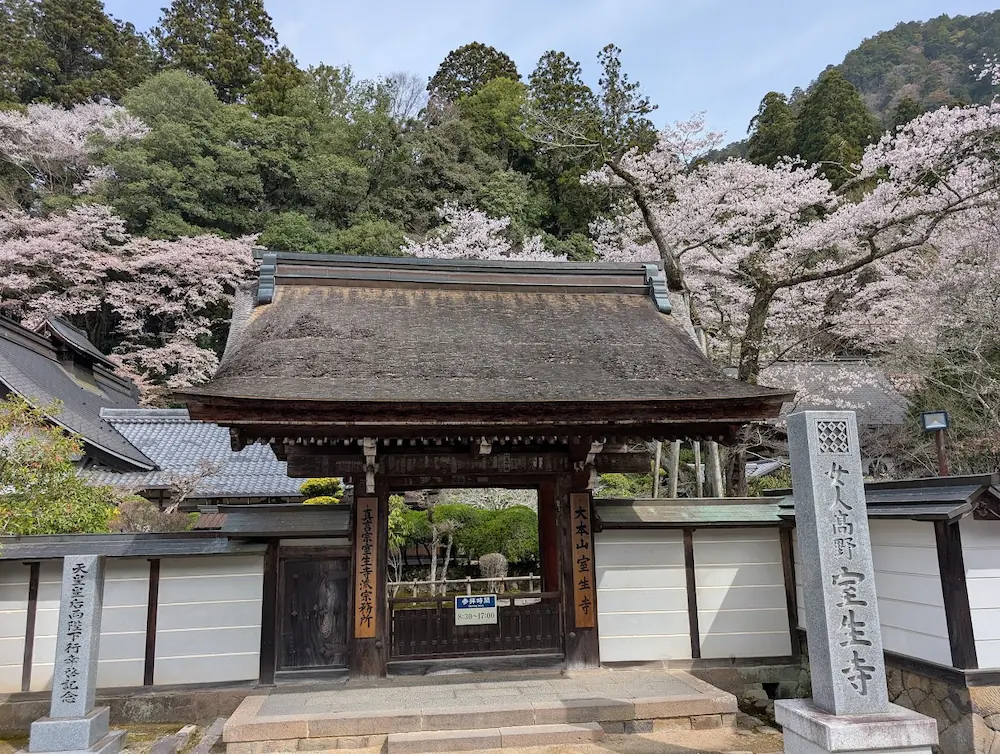 満開の桜に彩られた室生寺の仁王門と、「女人高野 室生寺」と刻まれた石碑（寺標）