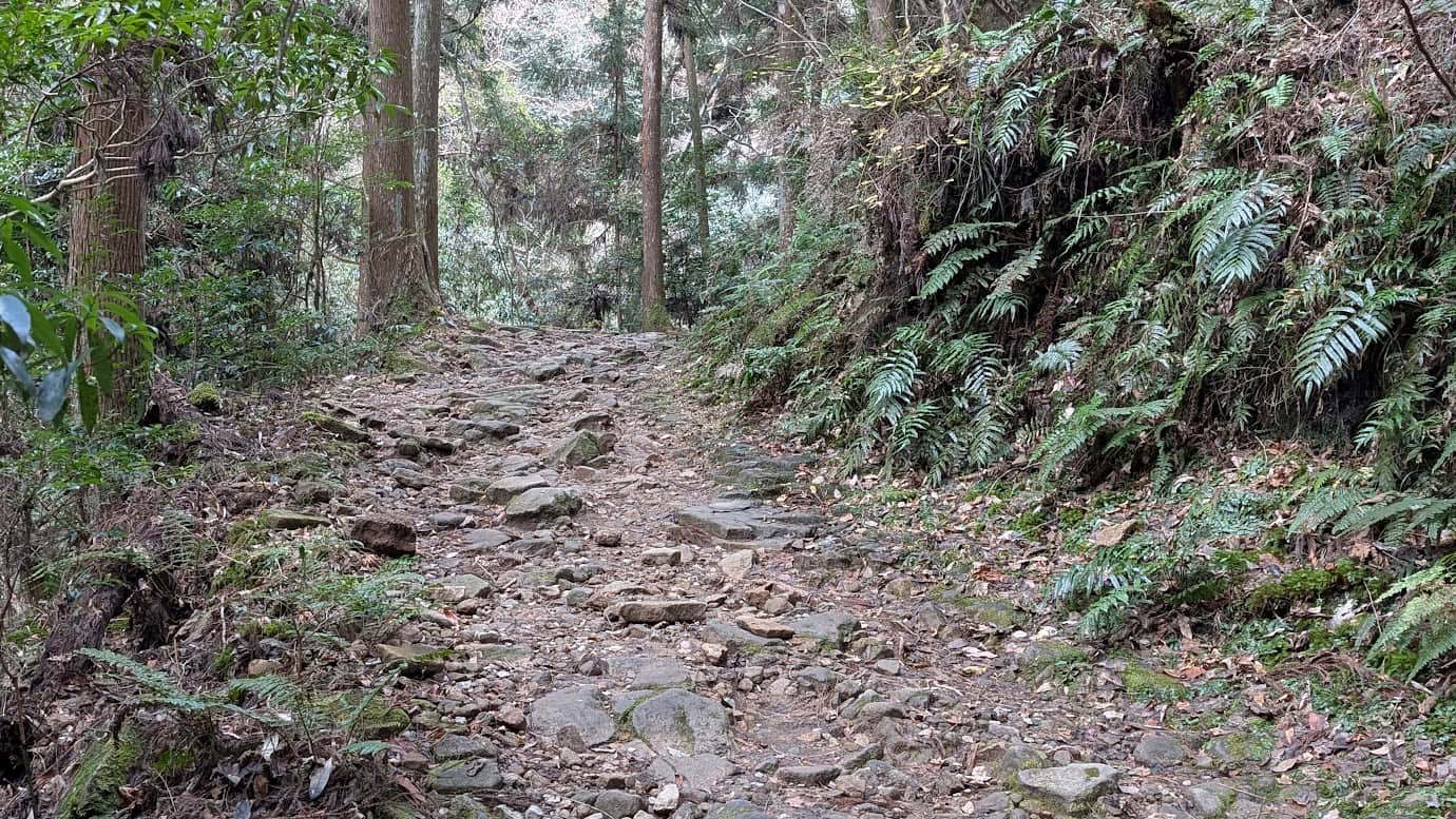 奈良県宇陀市の龍鎮神社への入口付近にある、車一台分ほどの狭い未舗装の山道。深い森へと続いており、車の通行が非常に危険であることを示している。