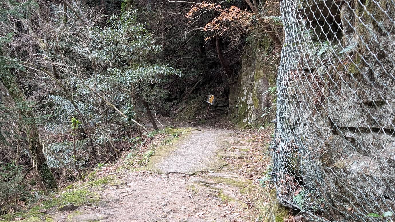 奈良県宇陀市の龍鎮神社への入口付近にある、車一台分ほどの狭い未舗装の山道。深い森へと続いており、車の通行が非常に危険であることを示している。