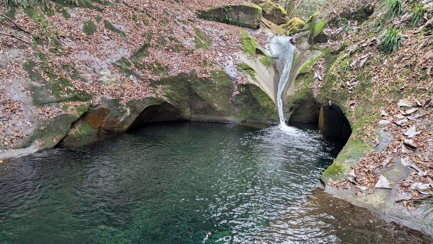 奈良県宇陀市の龍鎮神社にある「龍鎮の淵」。横からの視点で、苔むした岩肌を流れ落ちる小さな滝と、その下に広がるエメラルドグリーンの深い滝壺、そして対岸に立つ小さな鳥居が見える。