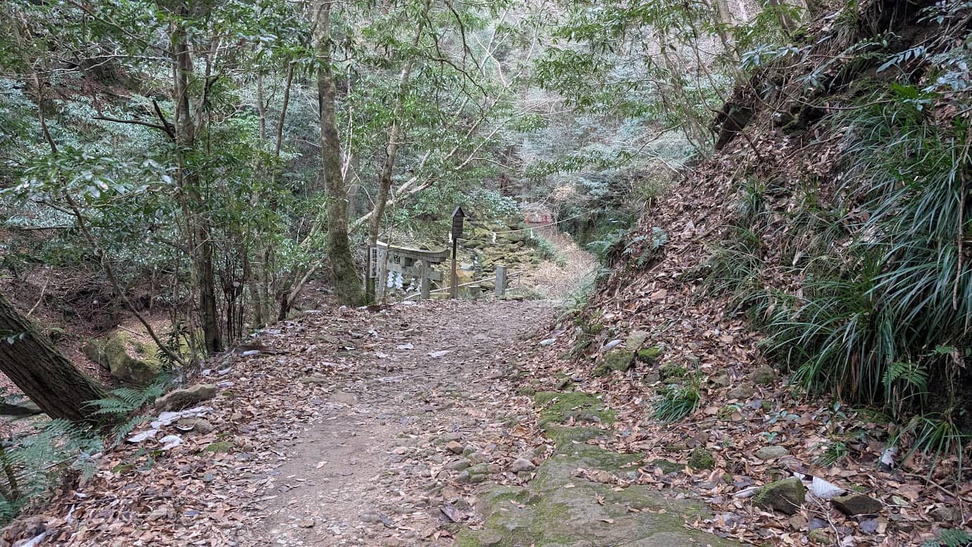 奈良県宇陀市の龍鎮神社へ続く参道の途中。深く緑に覆われたうっそうとした山道の奥に、古びた石造りの鳥居が静かに立っている（2025年12月31日撮影）。