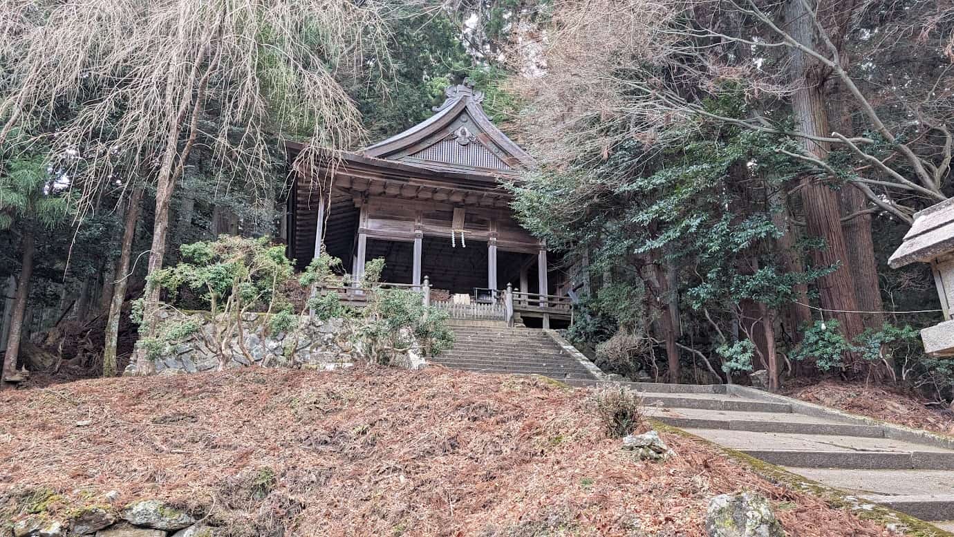 奈良県吉野町、吉野山・奥千本に位置する世界遺産・金峯神社の拝殿。石垣の上に建つ木造の素朴な社殿で、手前には石段が伸び、周囲は深い杉林と冬の枯れ葉に包まれている。質実剛健な建築様式(2026年1月撮影)。