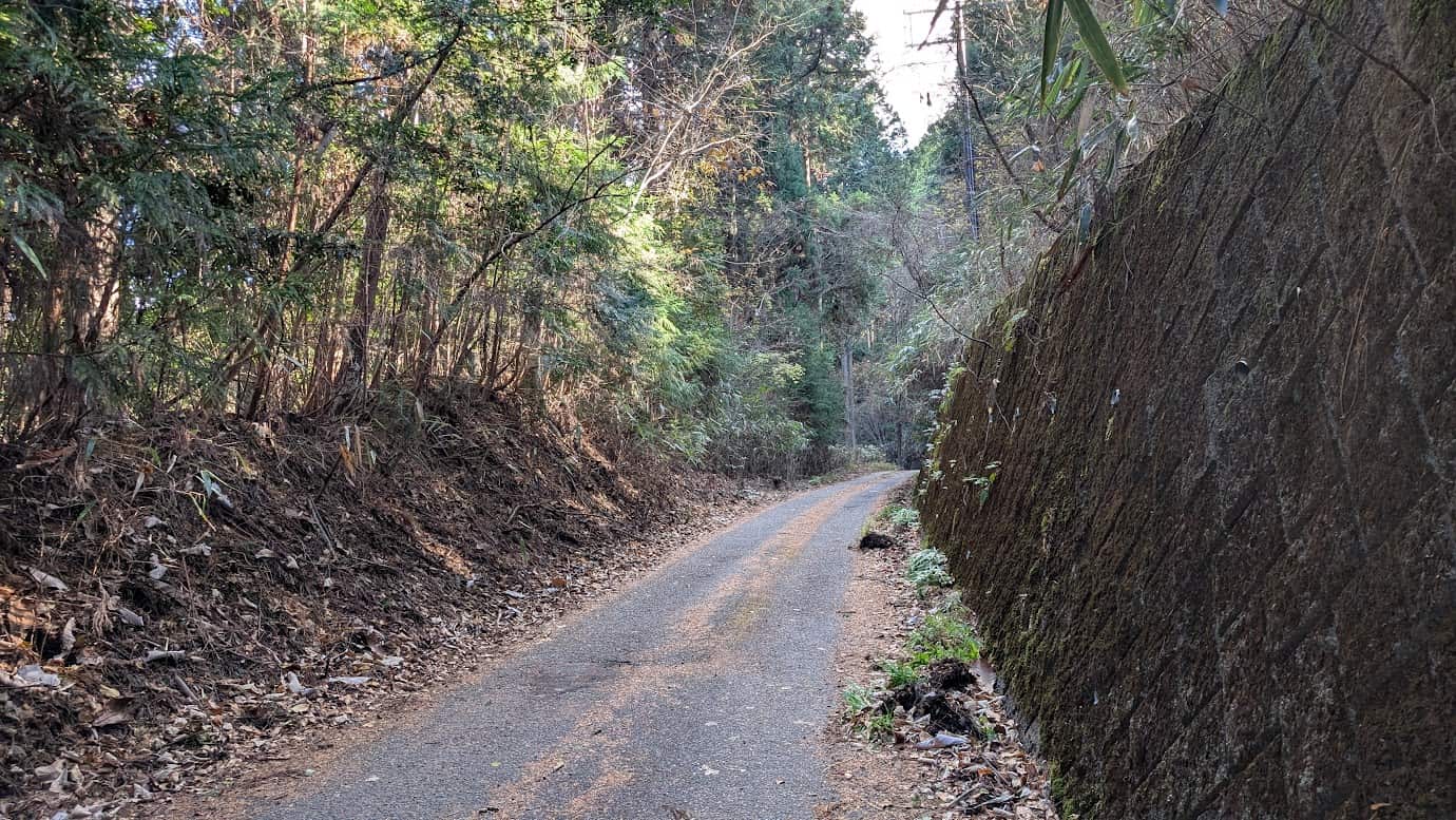 奈良県吉野町、吉野水分神社へ続く狭い山道。車一台分ほどの道幅で、左側は山林の斜面、右側は高い石積みの壁になっている。冬の枯れ葉が路肩に積もる、舗装された1車線の道路(2026年1月撮影)。