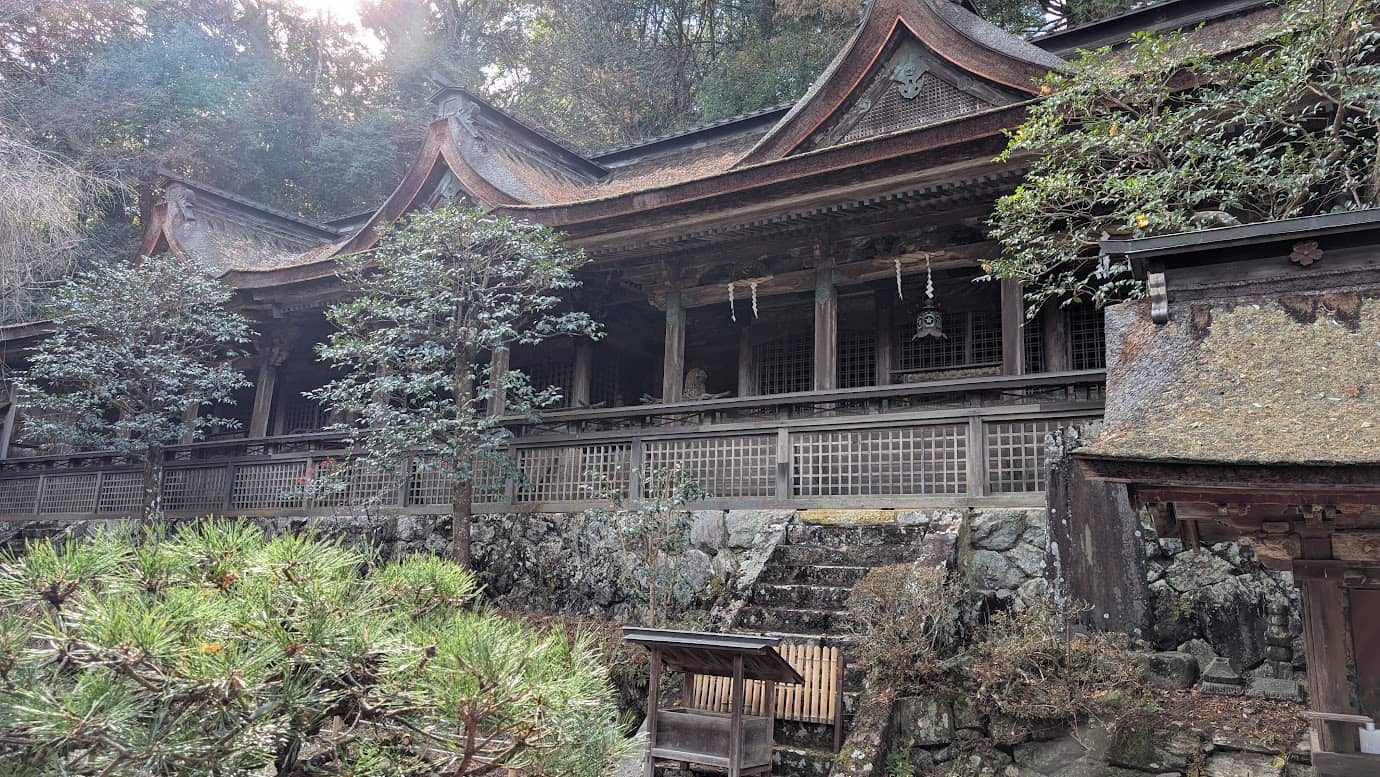 奈良県吉野町、世界遺産・吉野水分神社の社殿。重要文化財に指定されている三殿一棟造りの重厚な茅葺屋根が連なり、手前には石垣と階段、周囲には冬の緑が配置されている。桃山時代の建築様式を色濃く残す風景（2026年1月撮影）。