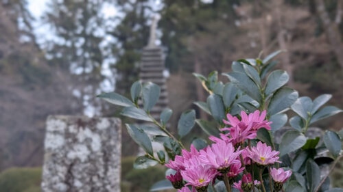 奈良 明日香 岡寺 龍蓋池③