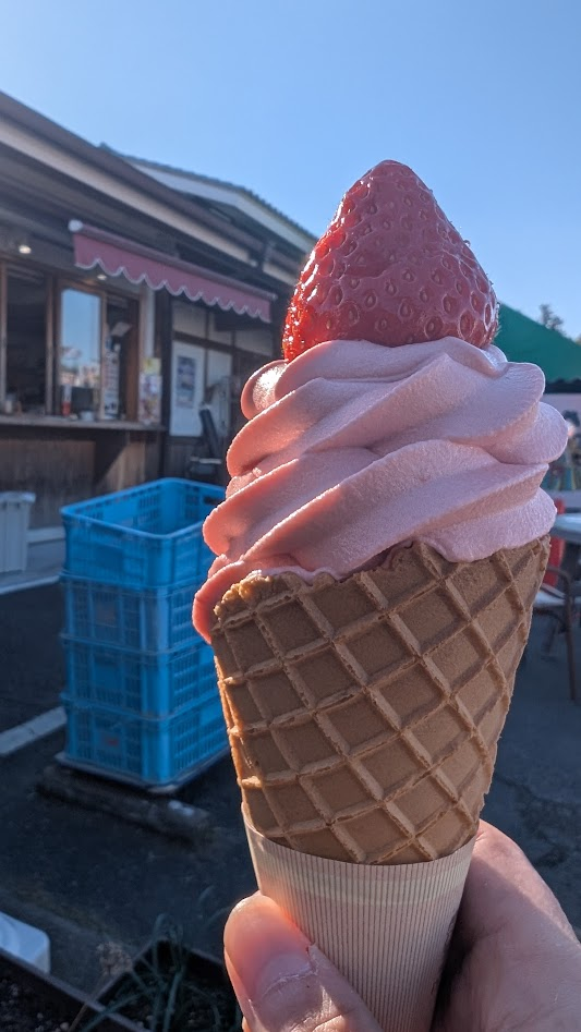 奈良 あすかルビーソフト あすか夢販売所