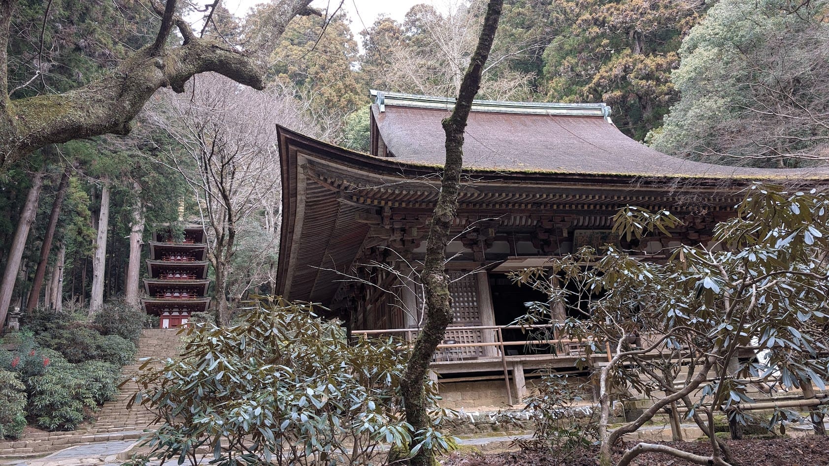 奈良 室生寺 金堂とご五重塔