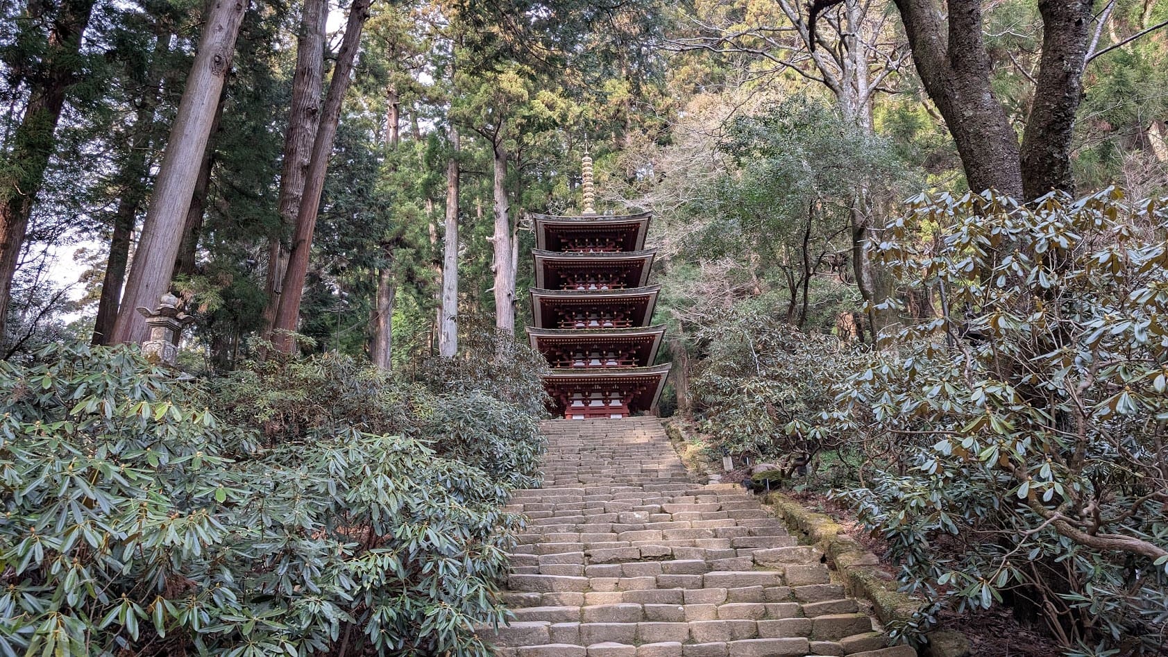 奈良 室生寺 五重塔③