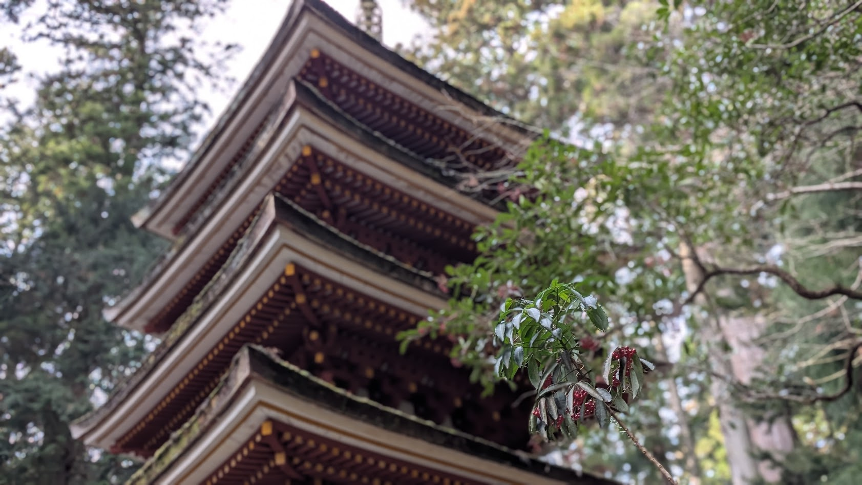 奈良 室生寺 五重塔①