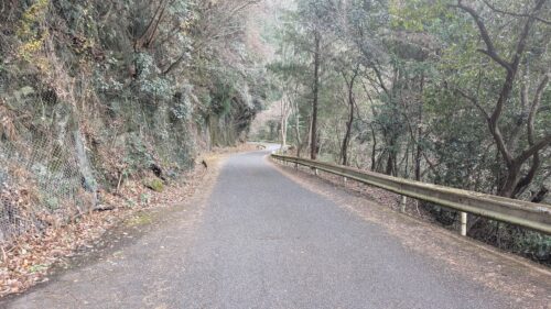 奈良 龍鎮神社 山道 狭い道