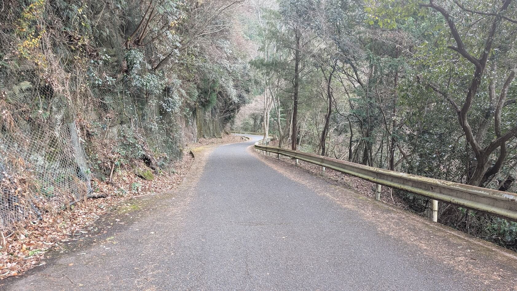 奈良県宇陀市の竜鎮神社へ続く、未舗装の狭い山道。車一台分ほどの道幅で、ガードレールのないカーブが谷側に続いており、車の通行が危険であることを示している。
