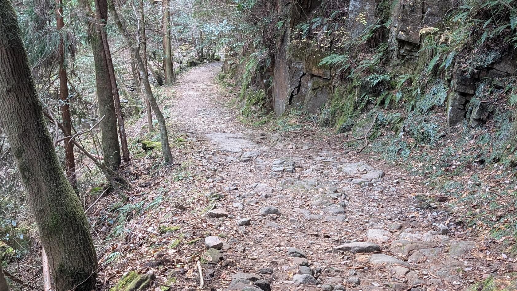 奈良 龍鎮神社 山道 1
