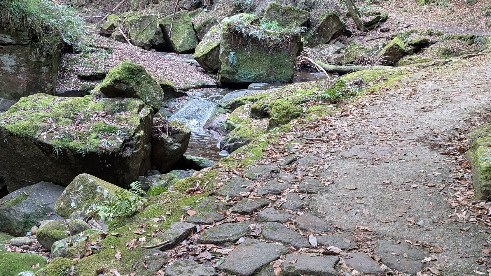 奈良 龍鎮神社 山道 2