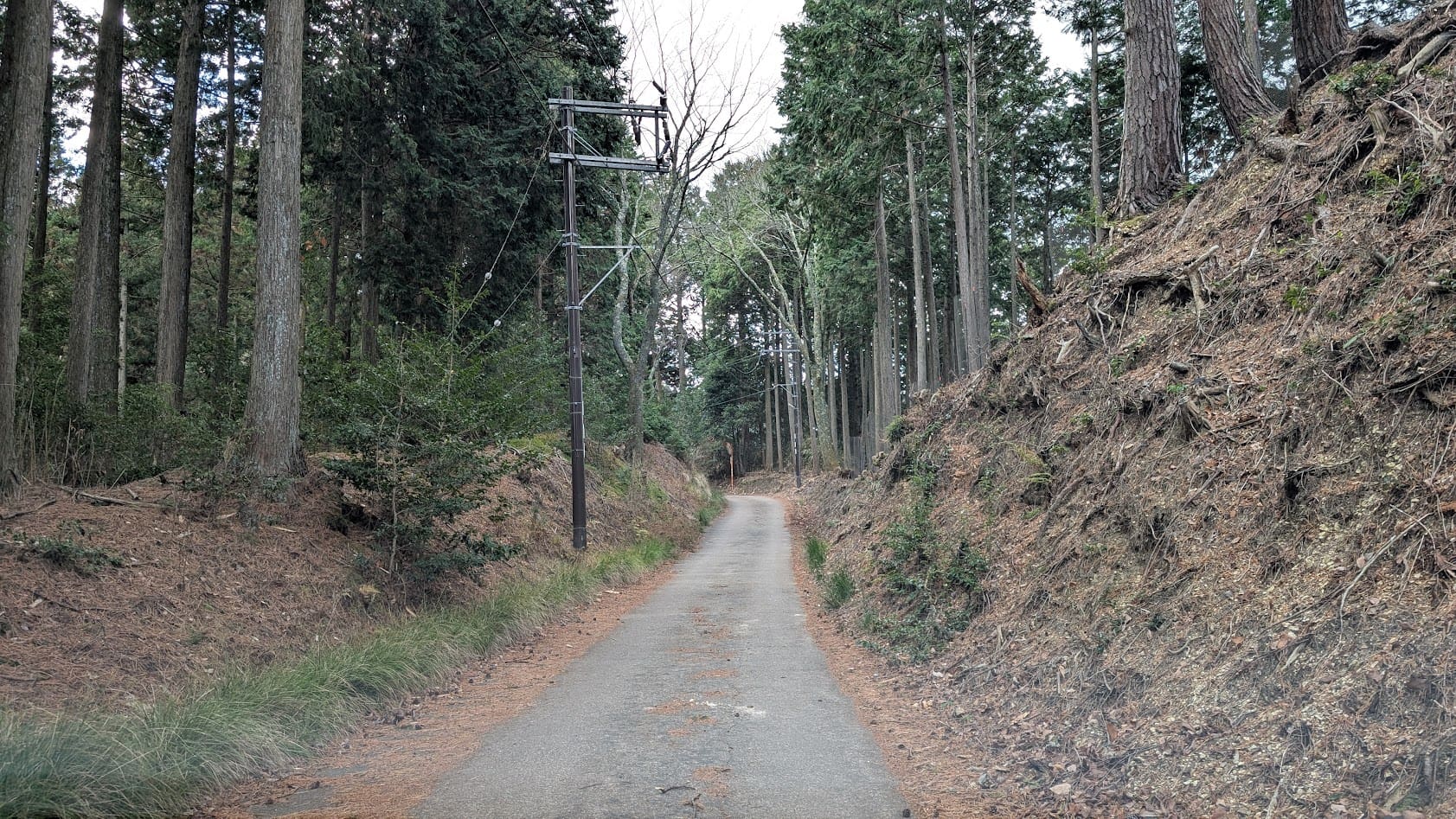 吉野山 奥千本 急な坂道1