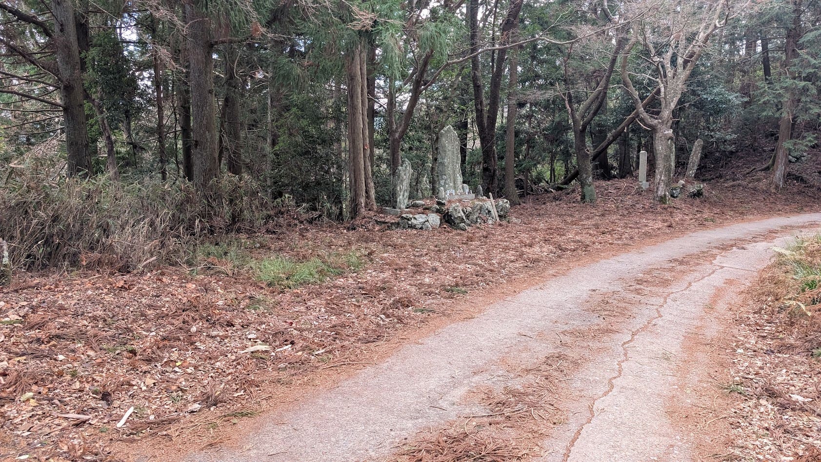 吉野山 奥千本 急な坂道2