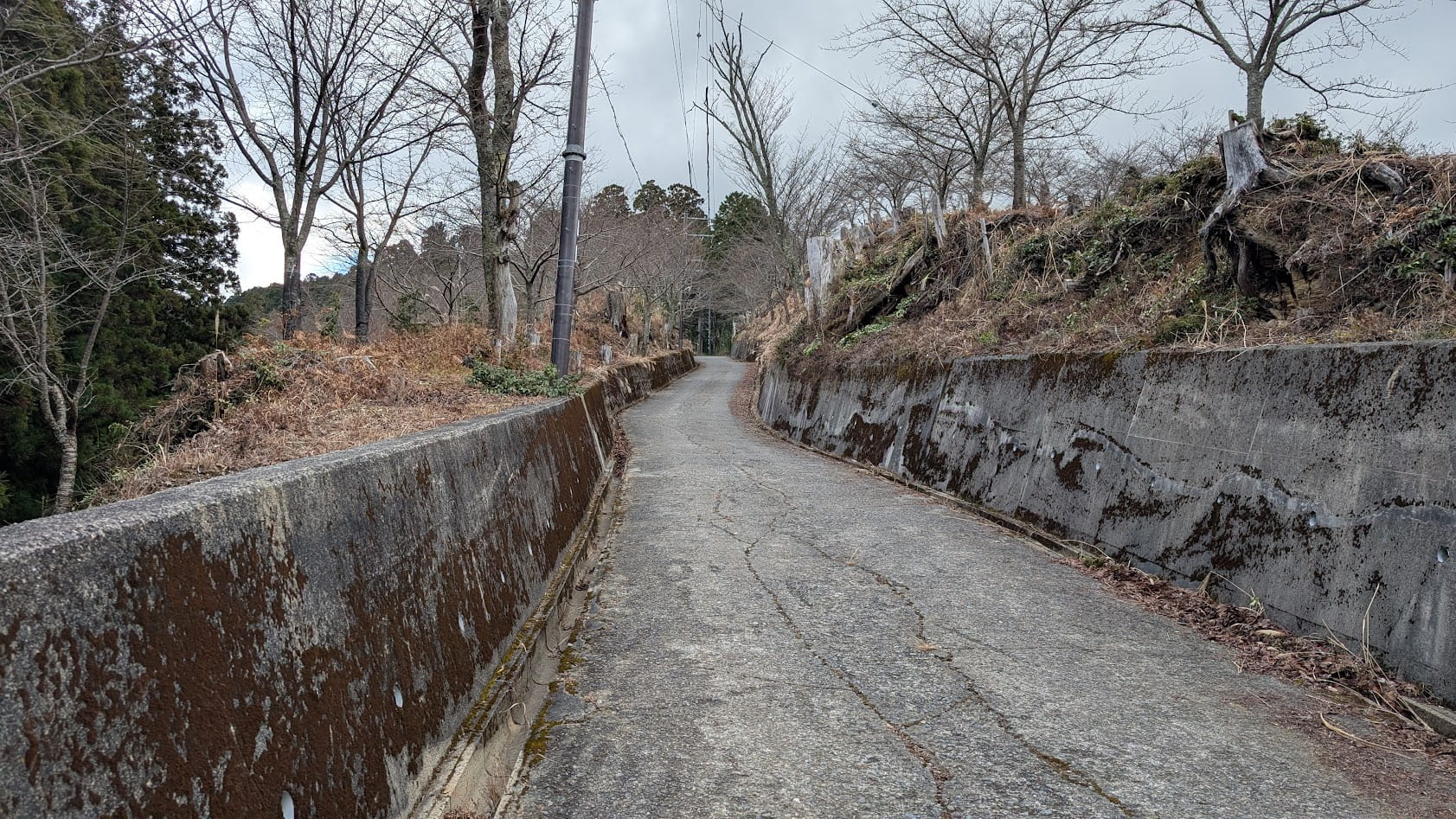 奈良 吉野 金峯神社 坂道1
