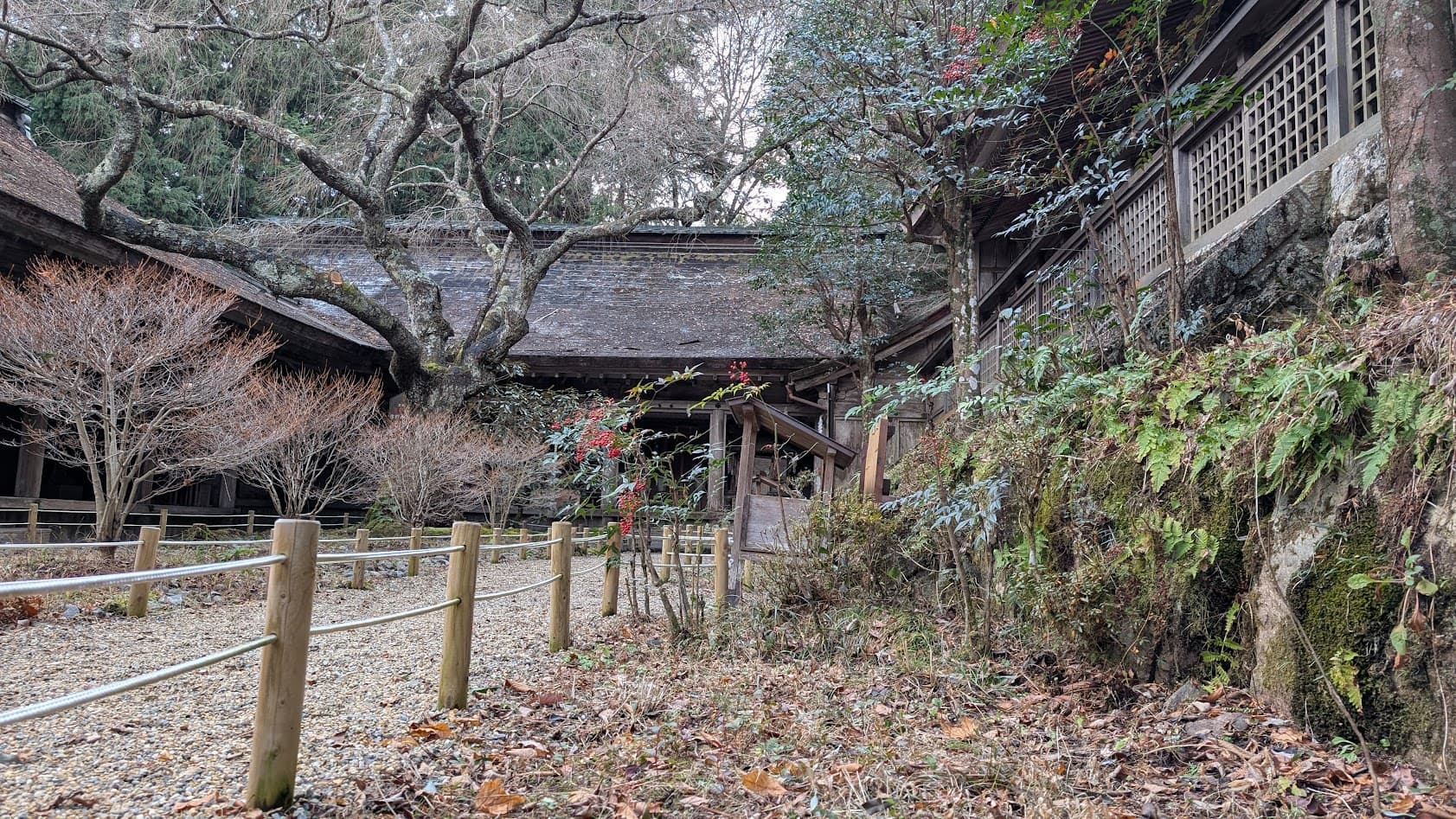 奈良 吉野水分神社 本殿別アングル