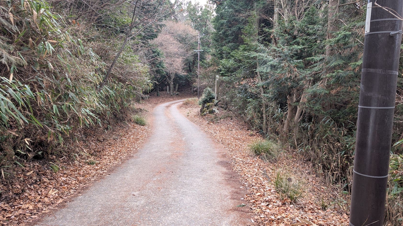奈良 吉野水分神社 狭い山道