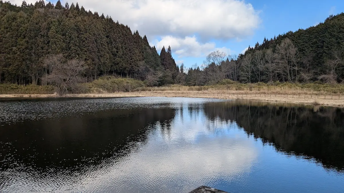 宇陀市の龍王ヶ渕。周囲を深い針葉樹林に囲まれた池の、穏やかな水面に空の雲と木々が鏡のように反射している様子。